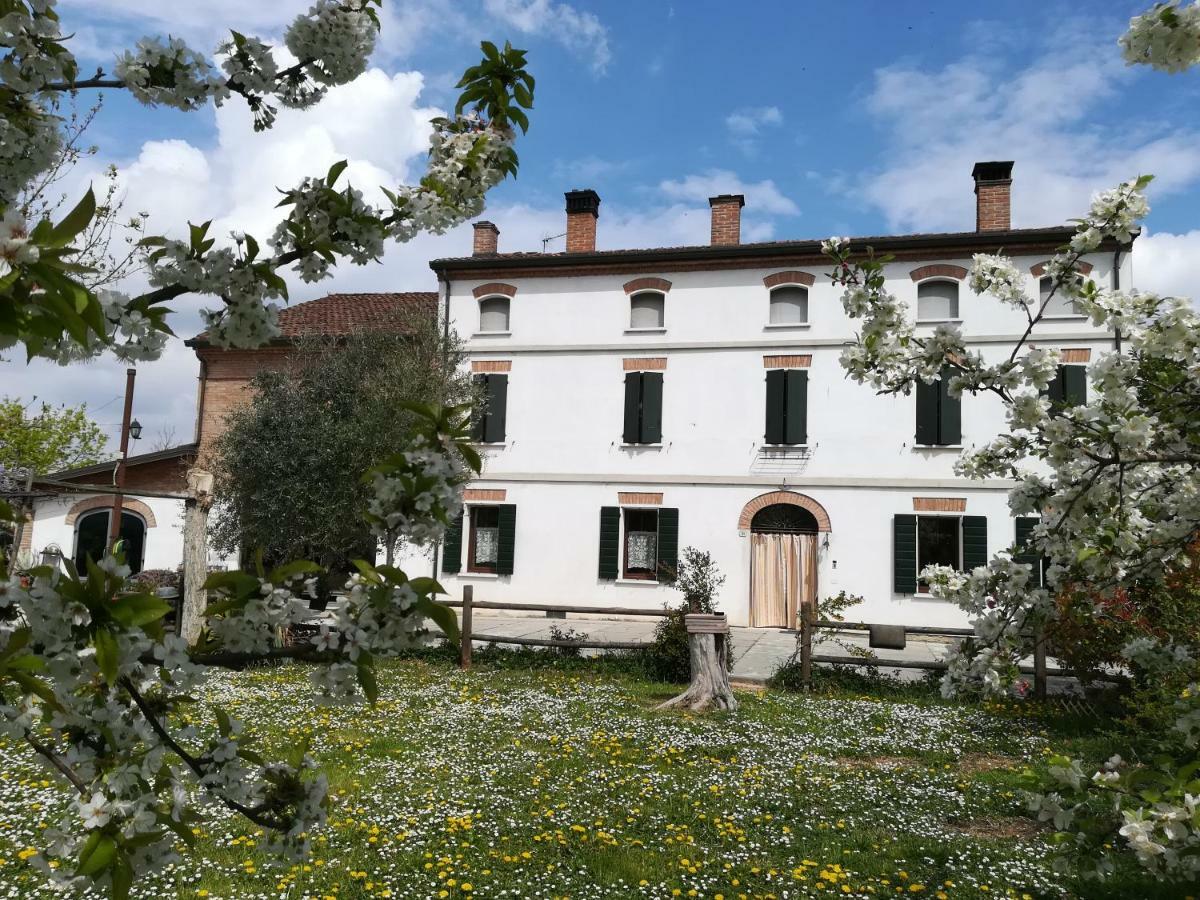 Agriturismo Loghino Sabbioni Suzzara Extérieur photo