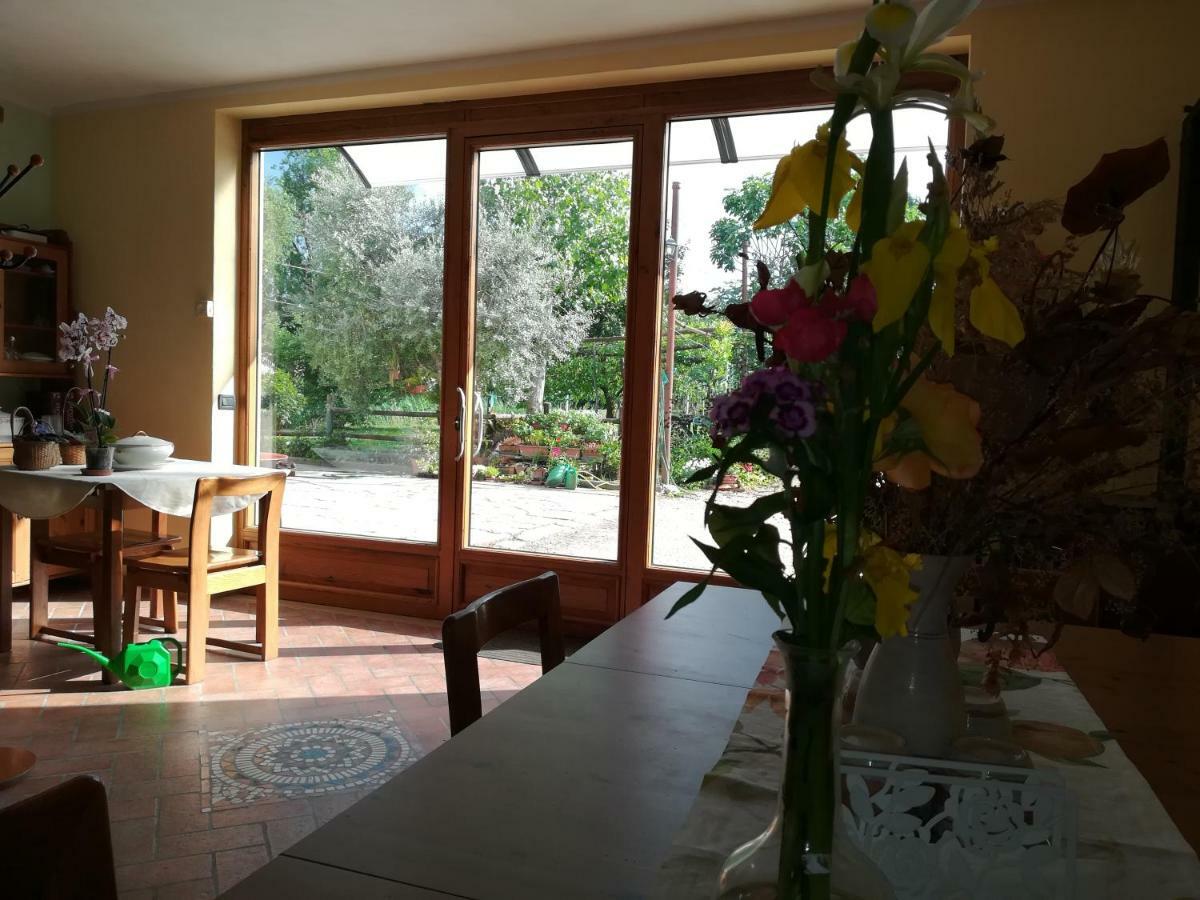Agriturismo Loghino Sabbioni Suzzara Extérieur photo